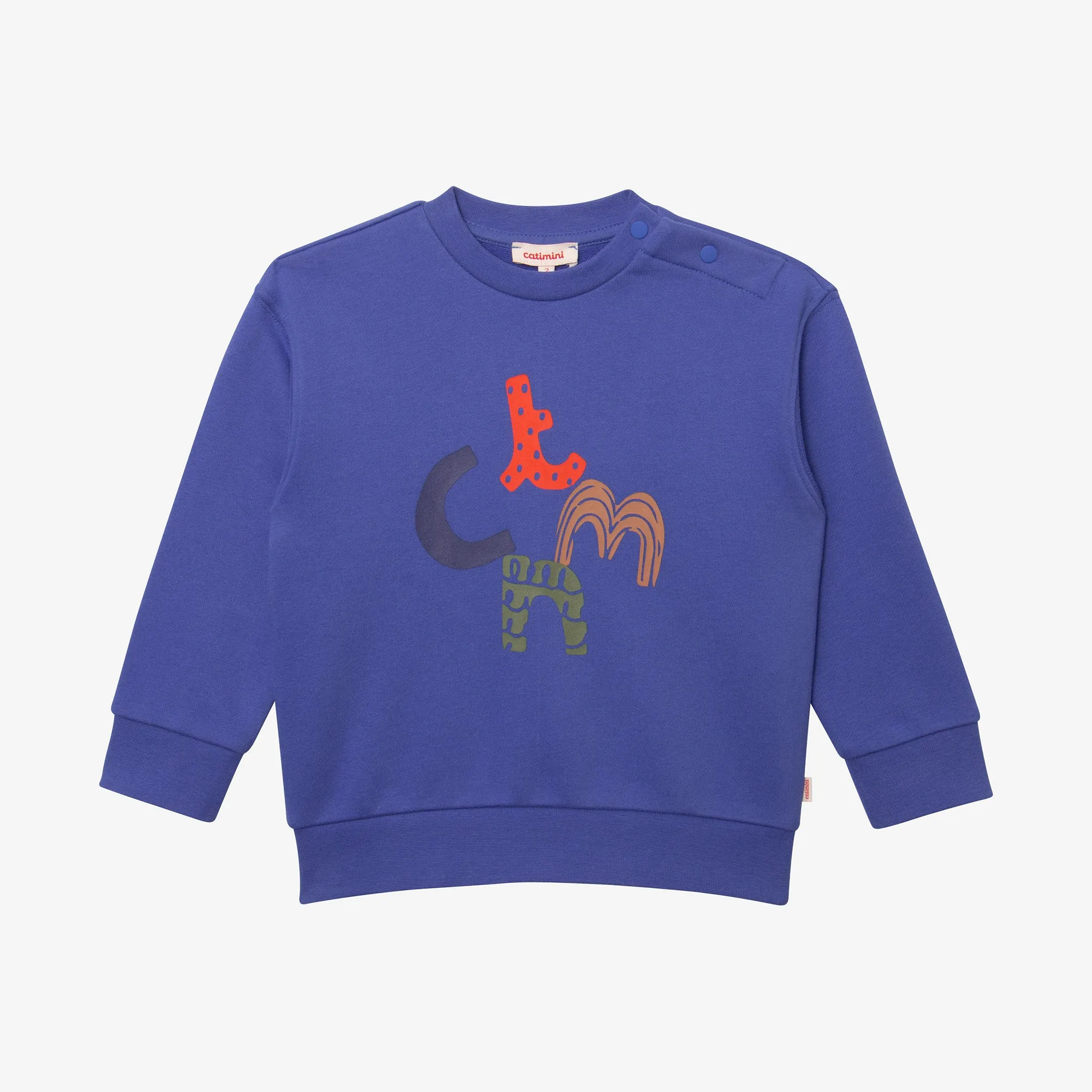 Baby boys' blue sweatshirt