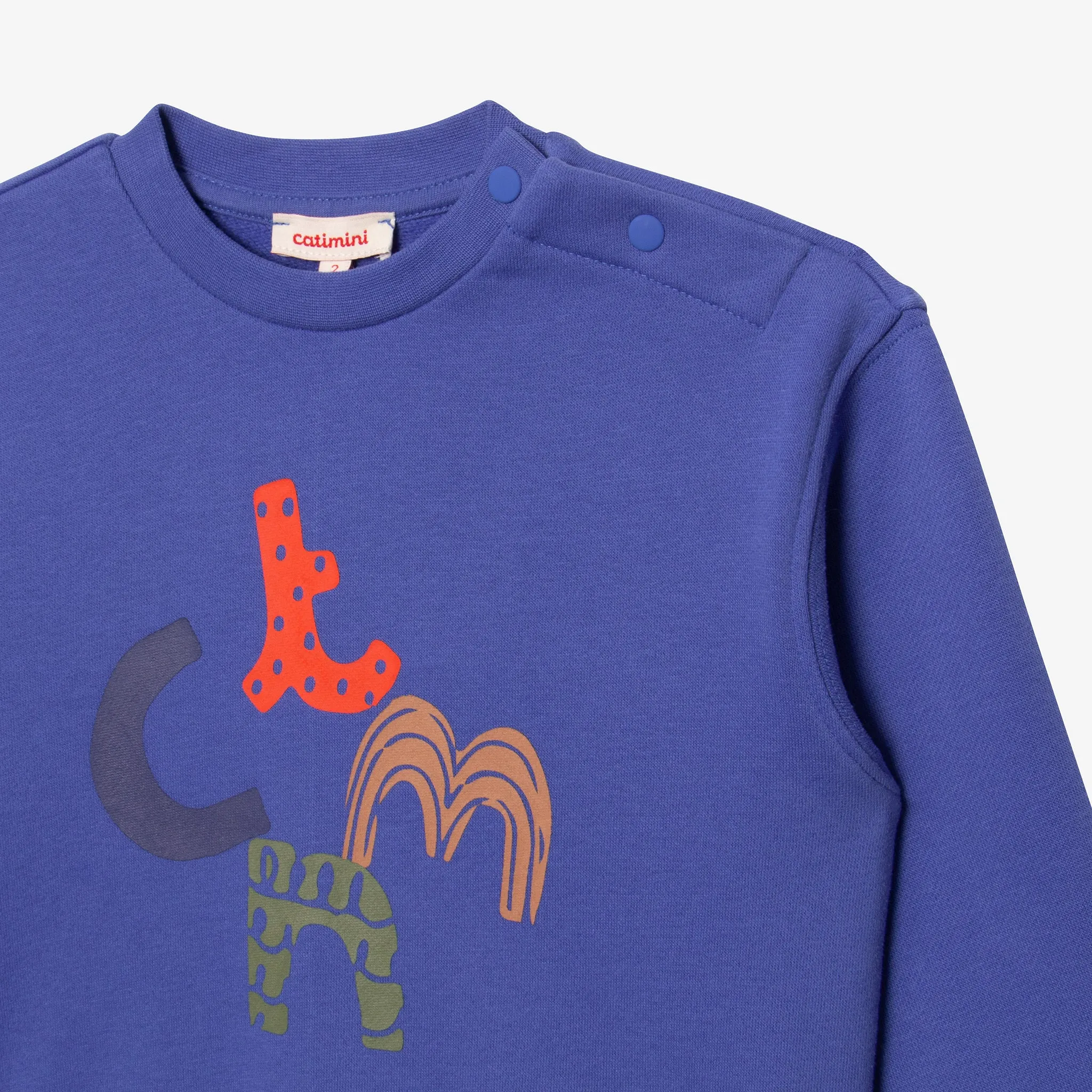 Baby boys' blue sweatshirt