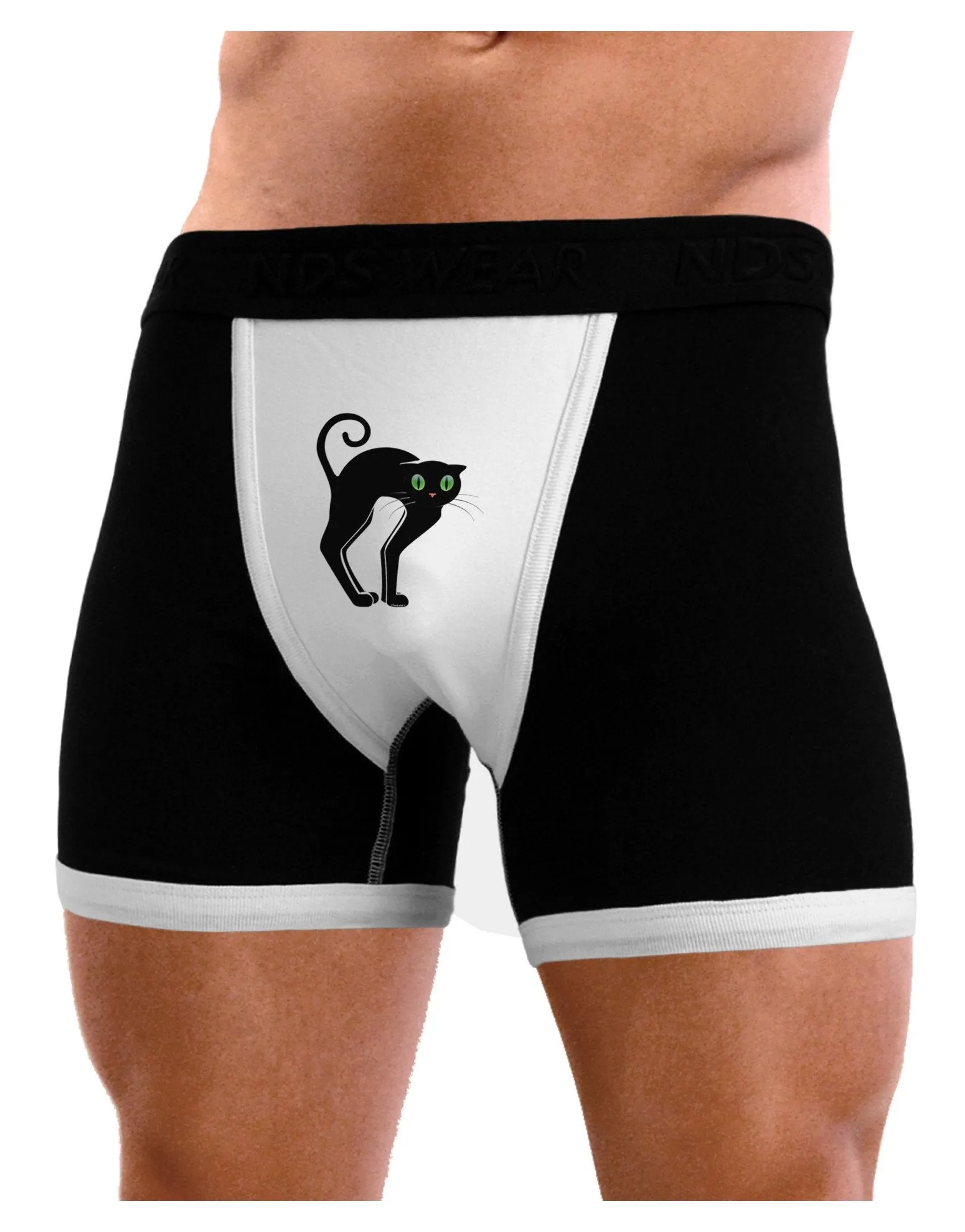 Cute Arched Black Cat Halloween Mens Boxer Brief Underwear