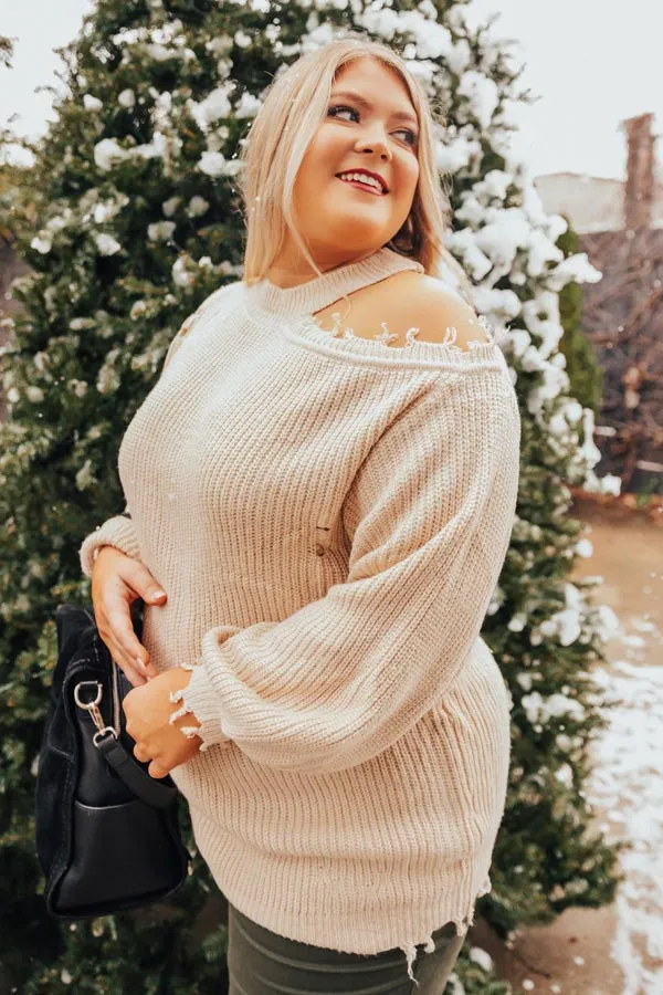 Feels Like Fall Distressed Sweater Iced Latte Curves