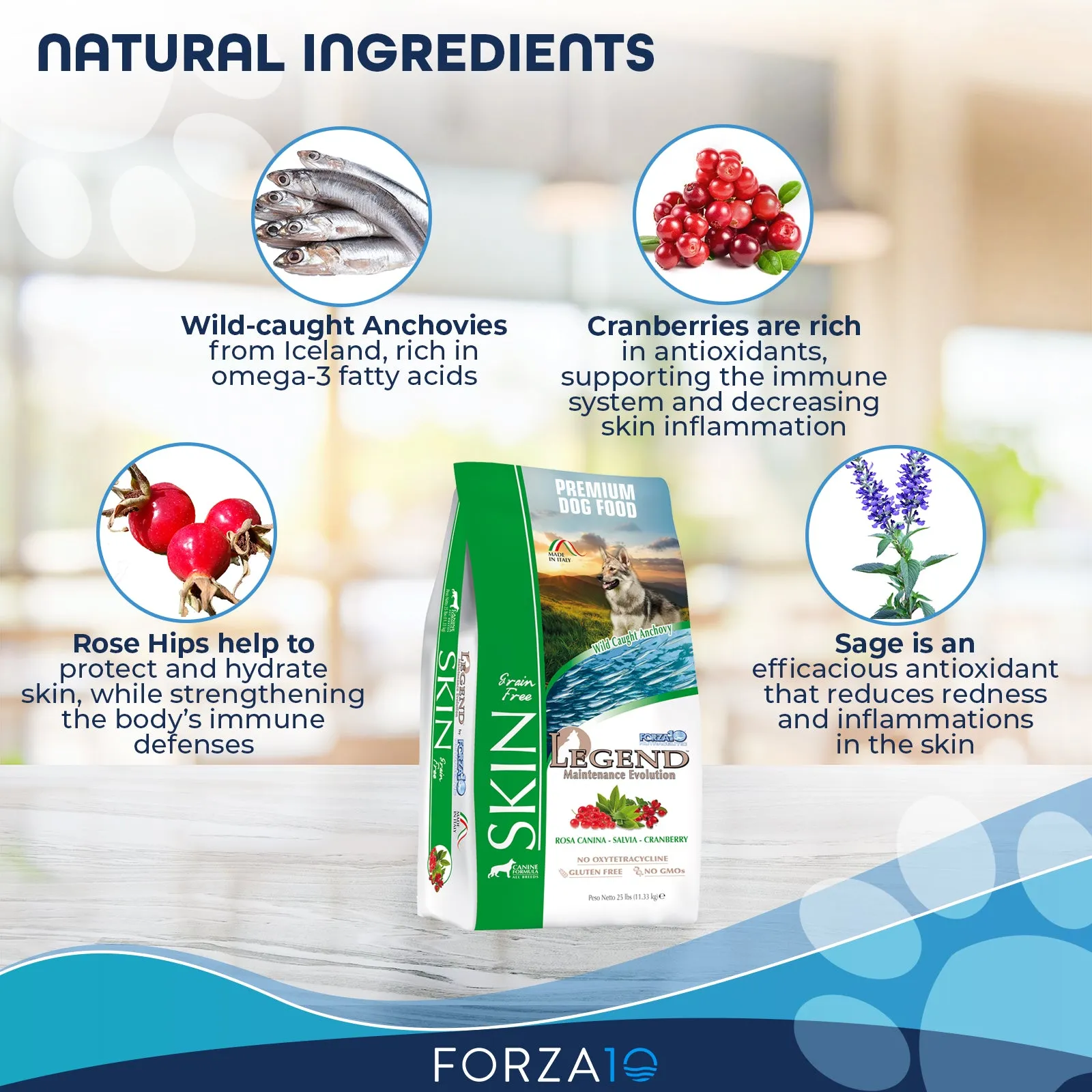 Forza10 Nutraceutic Legend Skin Grain-Free Wild Caught Anchovy Dry Dog Food