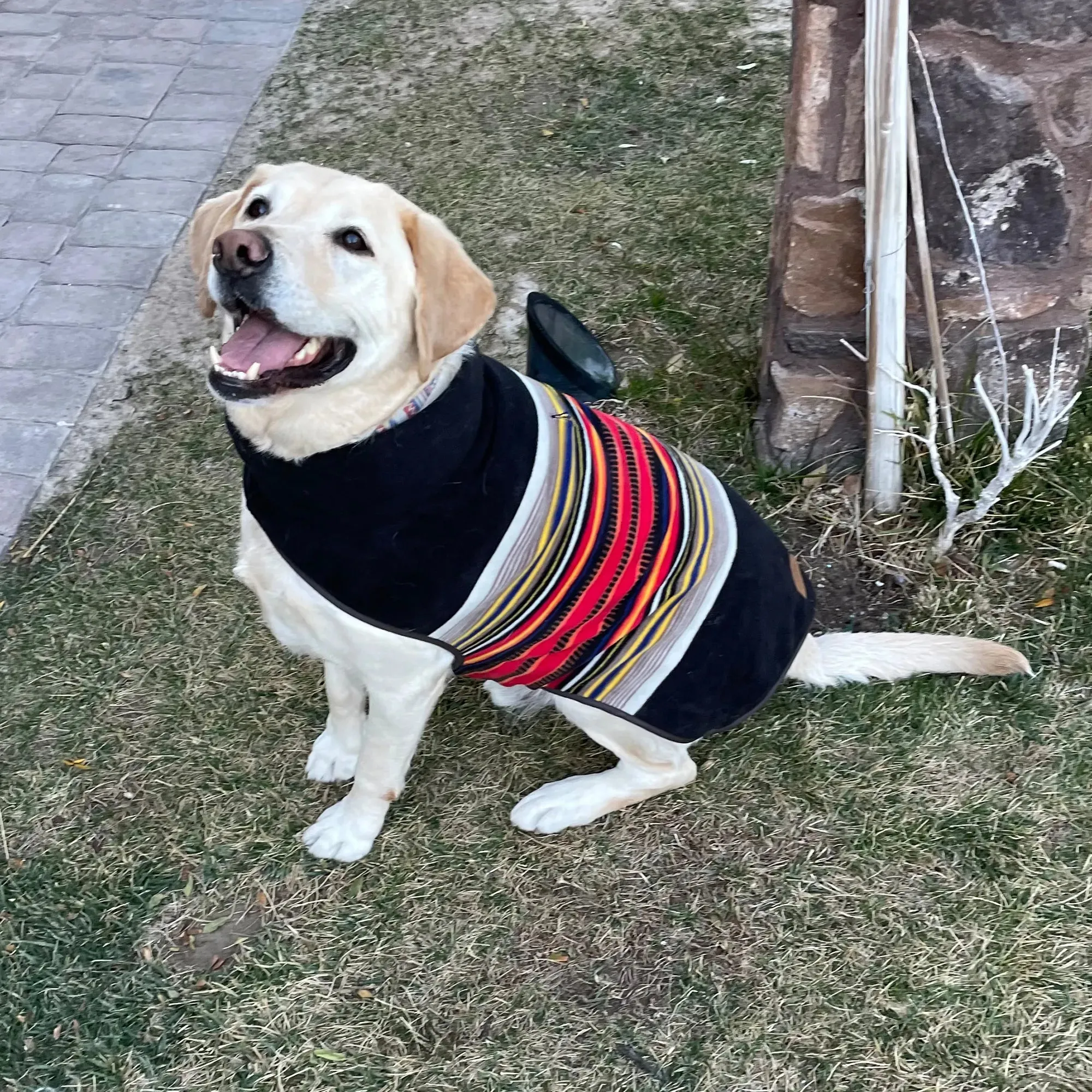 Pendleton Park Vest Coat | Acadia