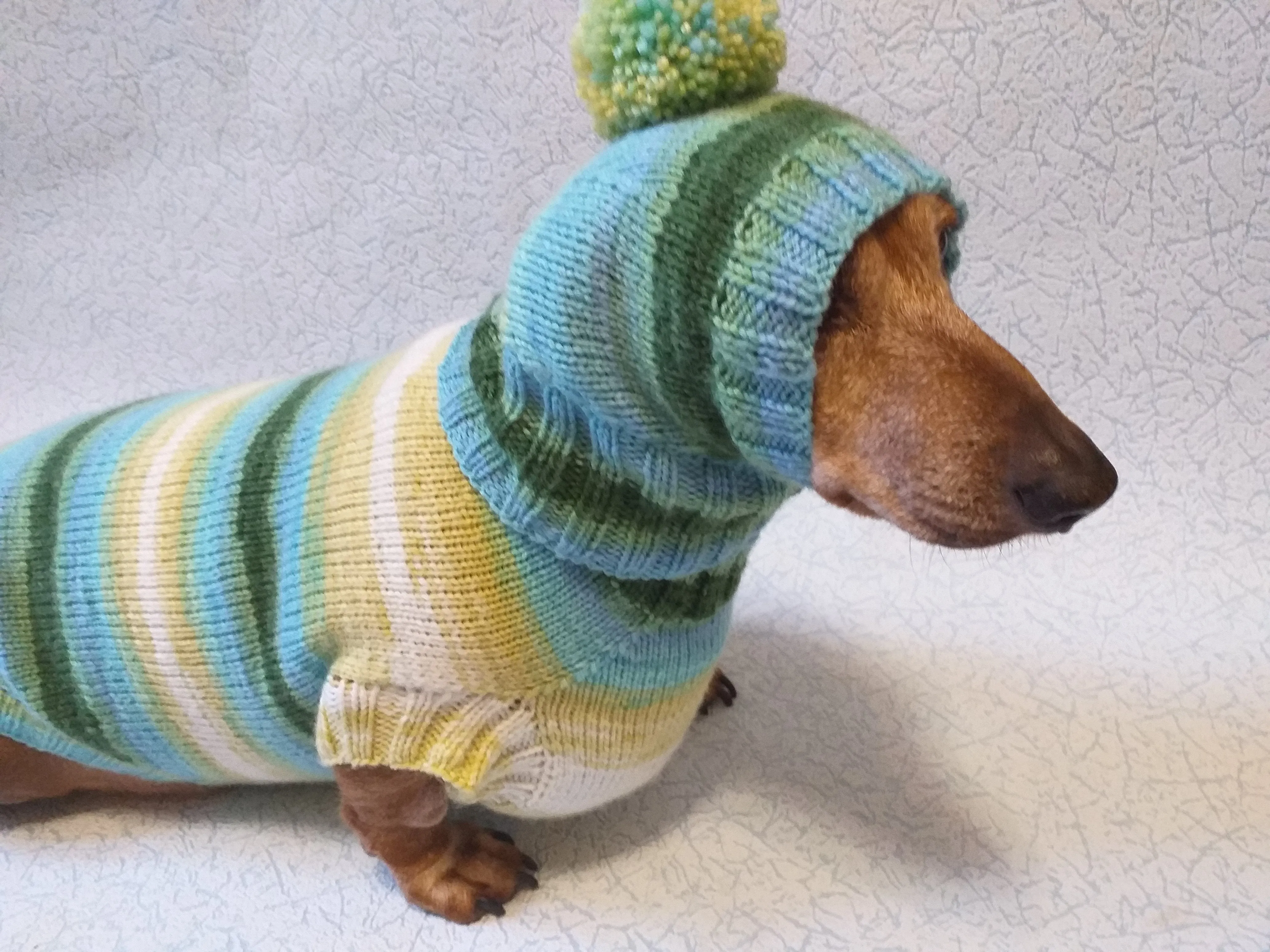 Set sweater and hat for dogs, sweater and hat for dachshunds, clothes for dogs, clothes for dachshunds