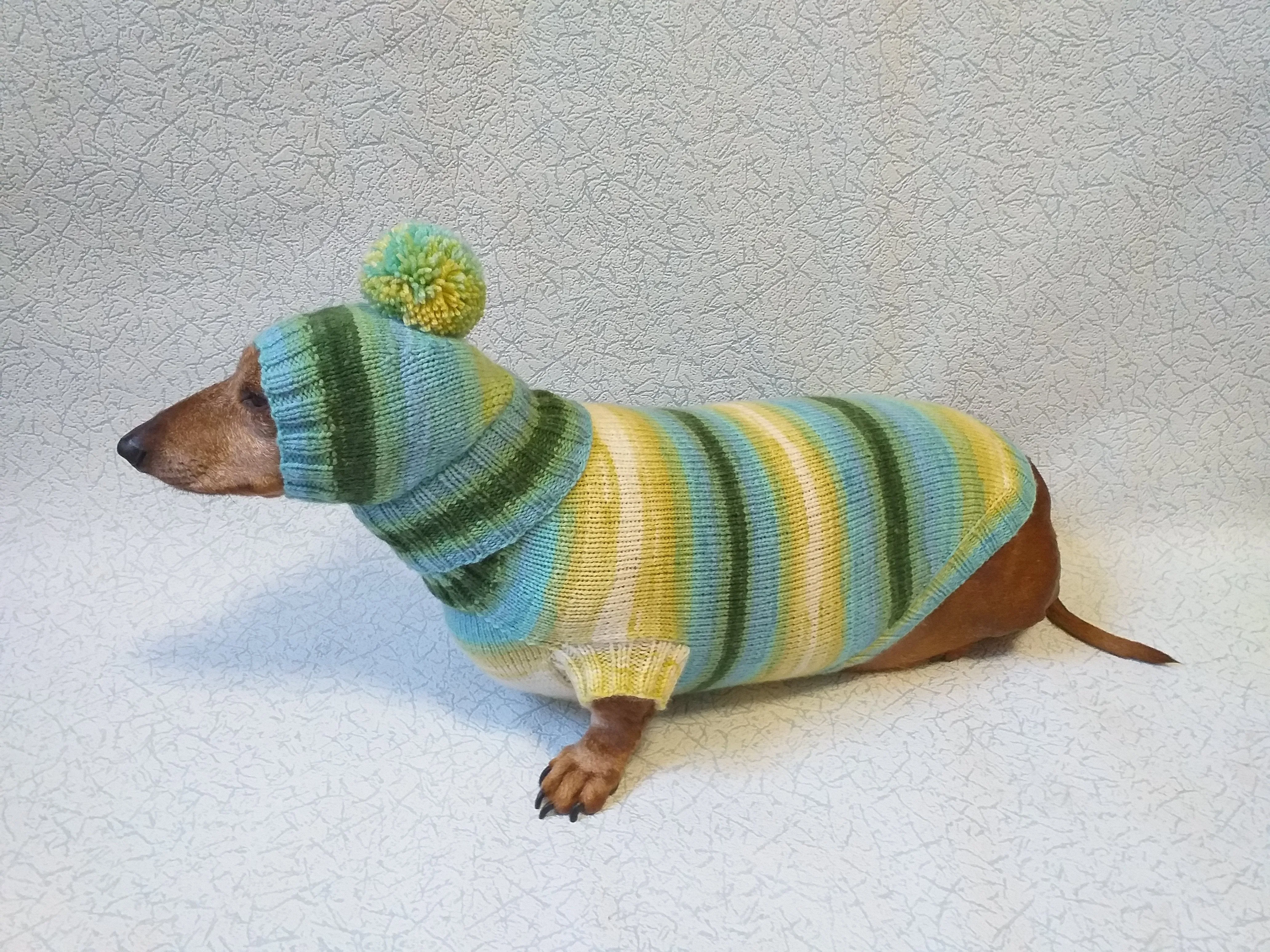 Set sweater and hat for dogs, sweater and hat for dachshunds, clothes for dogs, clothes for dachshunds