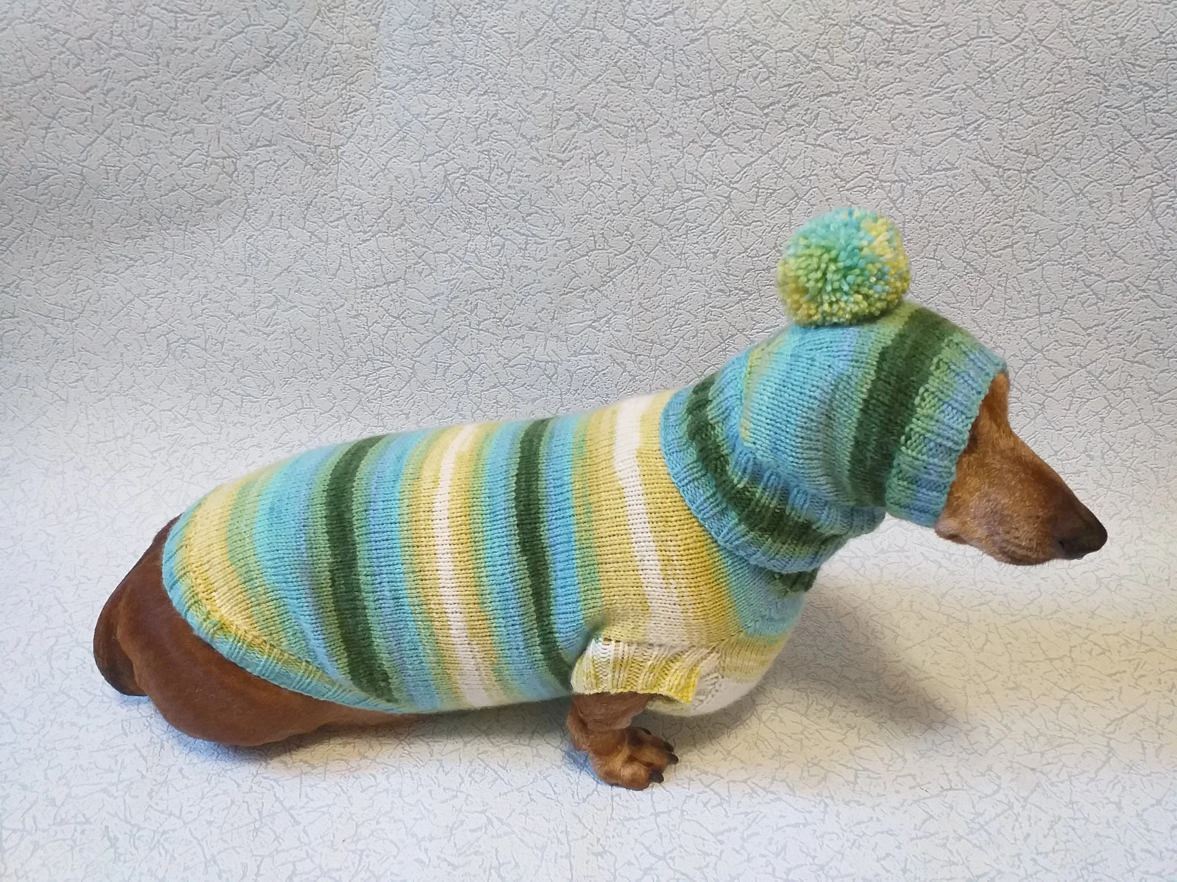 Set sweater and hat for dogs, sweater and hat for dachshunds, clothes for dogs, clothes for dachshunds