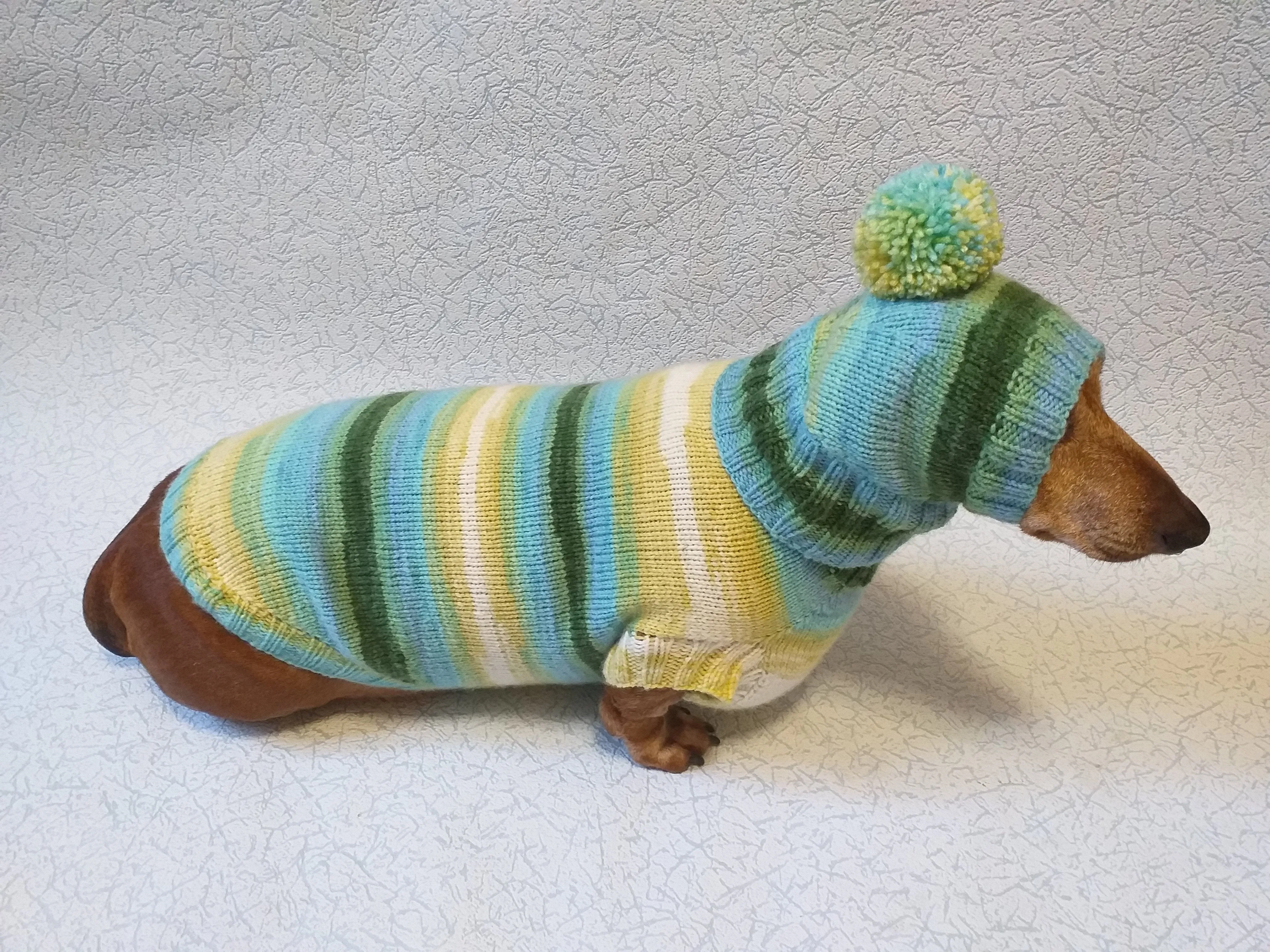 Set sweater and hat for dogs, sweater and hat for dachshunds, clothes for dogs, clothes for dachshunds